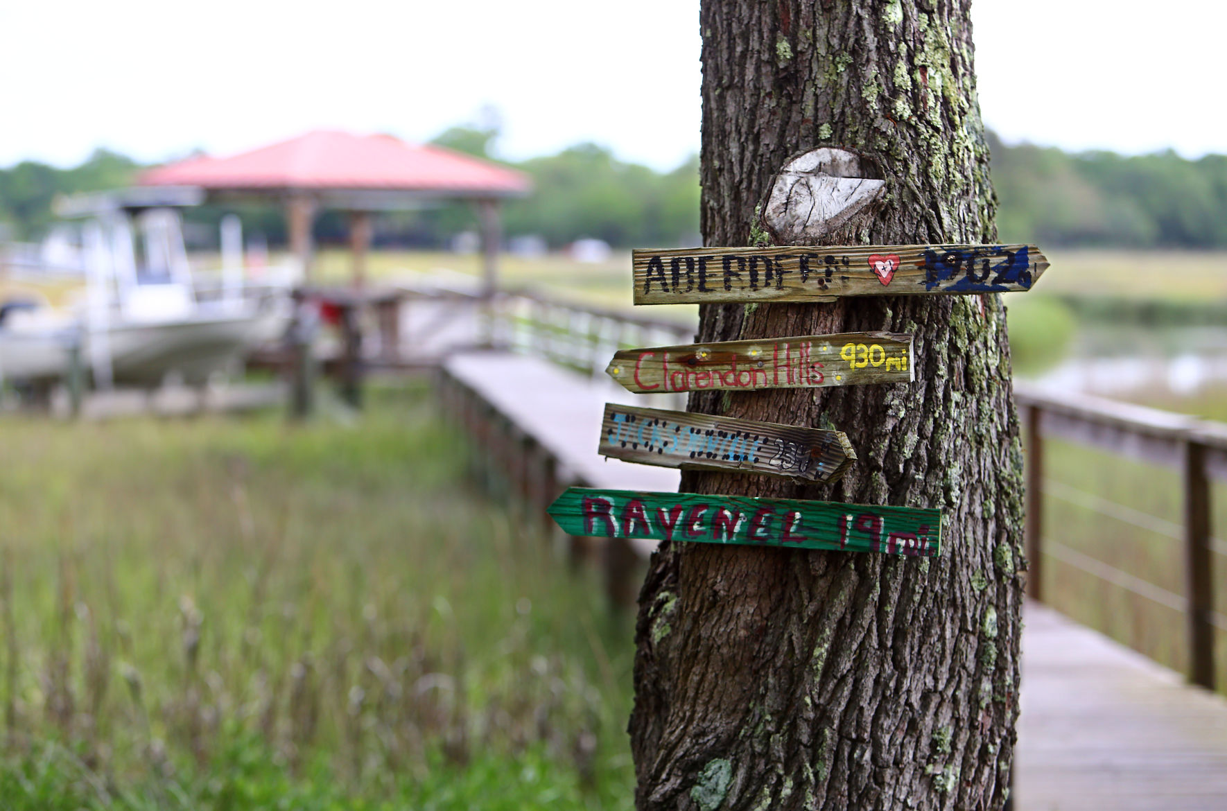 signs dhec dock.jpg